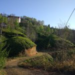 2019-Arapça Okulu-Kamp